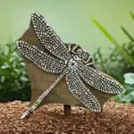 Insects & Files